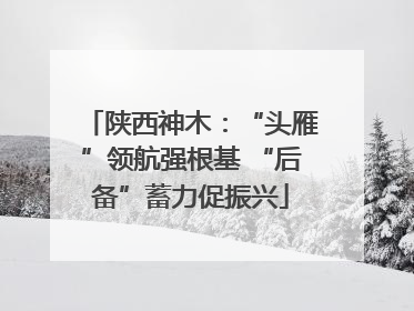 陕西神木：“头雁”领航强根基 “后备”蓄力促振兴