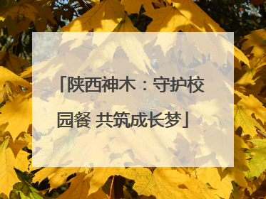 陕西神木：守护校园餐 共筑成长梦