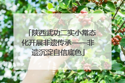 陕西武功二实小常态化开展非遗传承——非遗沉淀自信底色