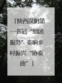 陕西汉阴第一书记“组团服务”奏响乡村振兴“协奏曲”