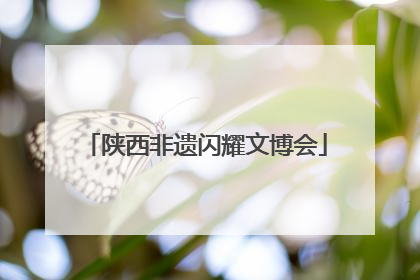 陕西非遗闪耀文博会