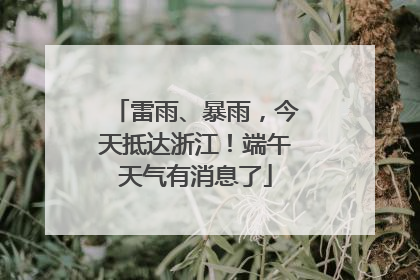 雷雨、暴雨，今天抵达浙江！端午天气有消息了