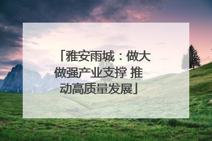 雅安雨城：做大做强产业支撑 推动高质量发展