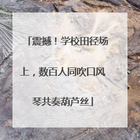 震撼！学校田径场上，数百人同吹口风琴共奏葫芦丝