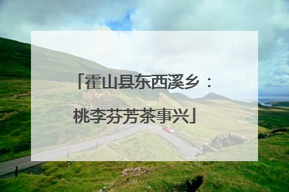 霍山县东西溪乡：桃李芬芳茶事兴