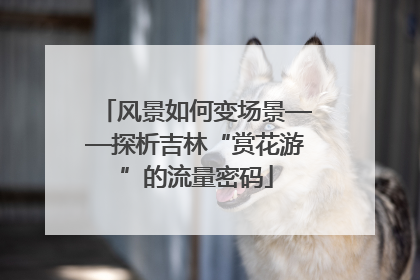 风景如何变场景——探析吉林“赏花游”的流量密码