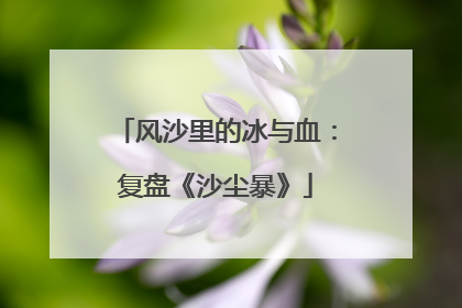 风沙里的冰与血：复盘《沙尘暴》