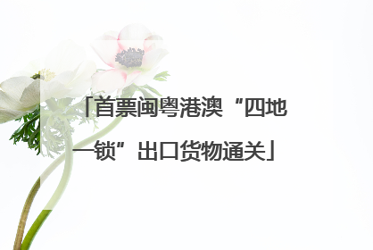 首票闽粤港澳“四地一锁”出口货物通关