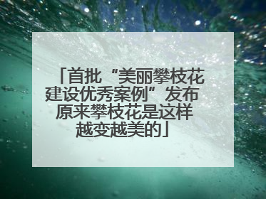 首批“美丽攀枝花建设优秀案例”发布 原来攀枝花是这样越变越美的