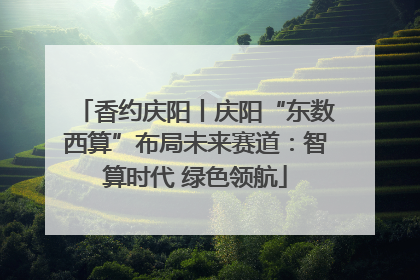 香约庆阳丨庆阳“东数西算”布局未来赛道：智算时代 绿色领航
