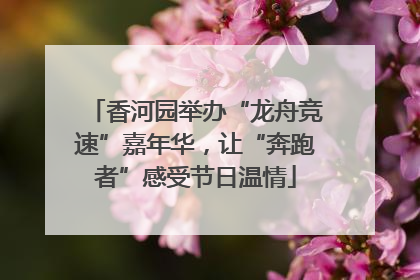 香河园举办“龙舟竞速”嘉年华，让“奔跑者”感受节日温情