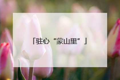 驻心“蒙山里”