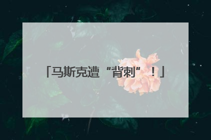 马斯克遭“背刺”！