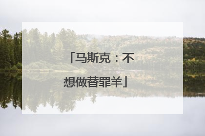 马斯克：不想做替罪羊