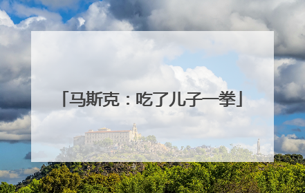 马斯克：吃了儿子一拳