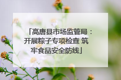 高唐县市场监管局：开展粽子专项检查 筑牢食品安全防线