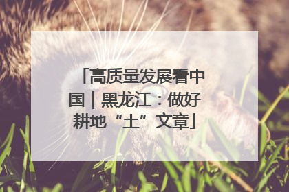 高质量发展看中国｜黑龙江：做好耕地“土”文章