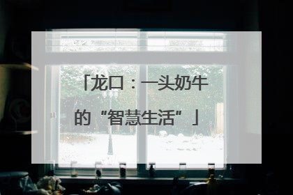 龙口：一头奶牛的“智慧生活”