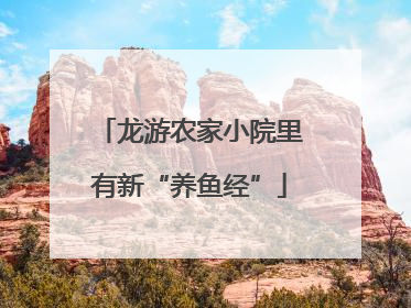 龙游农家小院里有新“养鱼经”