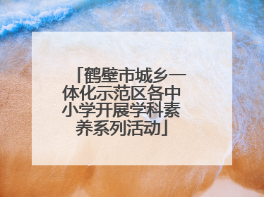 鹤壁市城乡一体化示范区各中小学开展学科素养系列活动