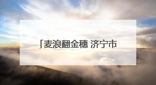 麦浪翻金穗 济宁市任城区32.28万亩小麦陆续开镰收割