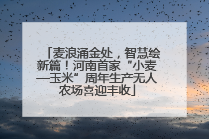 麦浪涌金处，智慧绘新篇！河南首家“小麦—玉米”周年生产无人农场喜迎丰收