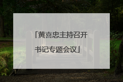 黄喜忠主持召开书记专题会议
