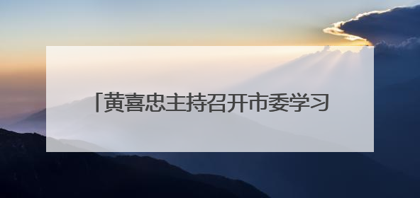 黄喜忠主持召开市委学习教育集中整治工作推进会
