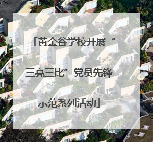 黄金谷学校开展“三亮三比”党员先锋示范系列活动