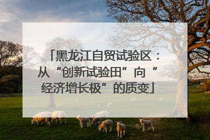 黑龙江自贸试验区：从“创新试验田”向“经济增长极”的质变