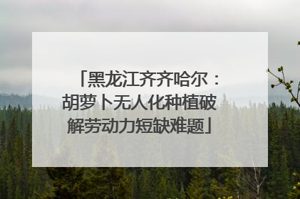 黑龙江齐齐哈尔：胡萝卜无人化种植破解劳动力短缺难题