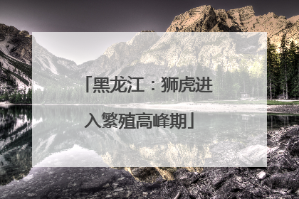 黑龙江：狮虎进入繁殖高峰期