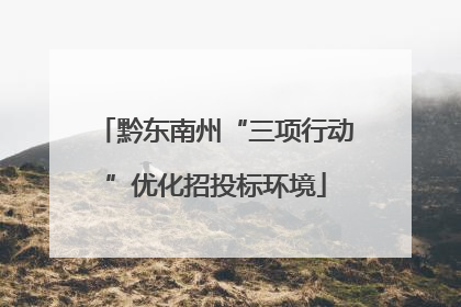 黔东南州“三项行动”优化招投标环境