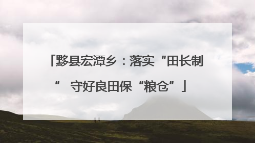 黟县宏潭乡：落实“田长制” 守好良田保“粮仓”