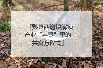 黟县西递镇解锁产业“丰景”里的共富方程式