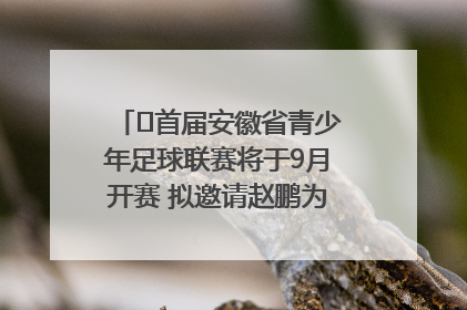 ﻿首届安徽省青少年足球联赛将于9月开赛 拟邀请赵鹏为先导赛开球