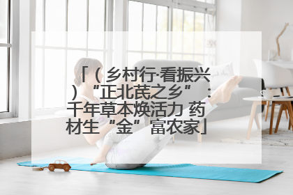 （乡村行·看振兴）“正北芪之乡”：千年草本焕活力 药材生“金”富农家