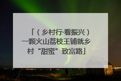 （乡村行·看振兴）一颗火山荔枝王铺就乡村“甜蜜”致富路