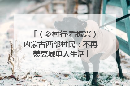 （乡村行·看振兴）内蒙古西部村民：不再羡慕城里人生活