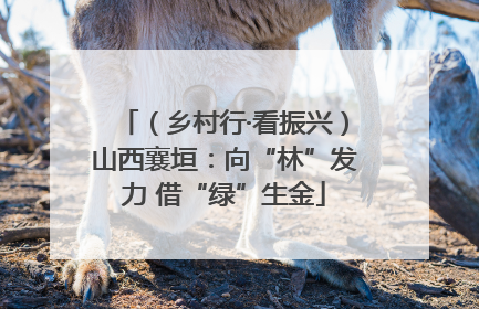 （乡村行·看振兴）山西襄垣：向“林”发力 借“绿”生金
