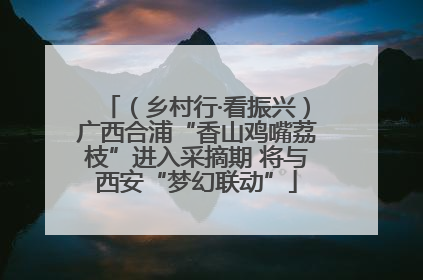 （乡村行·看振兴）广西合浦“香山鸡嘴荔枝”进入采摘期 将与西安“梦幻联动”