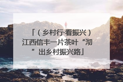 （乡村行·看振兴）江西信丰一片茶叶“沏”出乡村振兴路