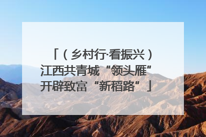 （乡村行·看振兴）江西共青城“领头雁”开辟致富“新稻路”