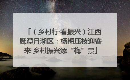 （乡村行·看振兴）江西鹰潭月湖区：杨梅压枝迎客来 乡村振兴添“梅”景