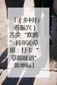 （乡村行·看振兴）舌尖“欢腾”科尔沁草原：打卡“草原味道”新地标