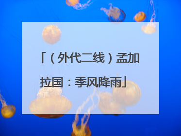 （外代二线）孟加拉国：季风降雨