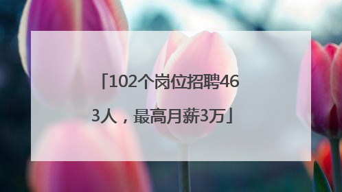 102个岗位招聘463人，最高月薪3万
