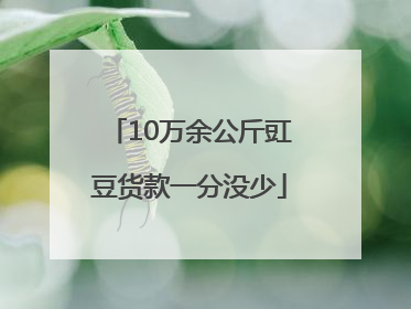 10万余公斤豇豆货款一分没少
