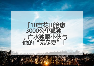 10亩花田治愈3000公里孤独，广水独眼小伙与他的“无尽夏”