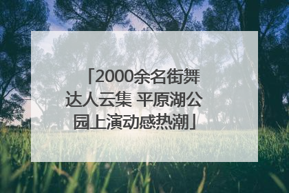 2000余名街舞达人云集 平原湖公园上演动感热潮